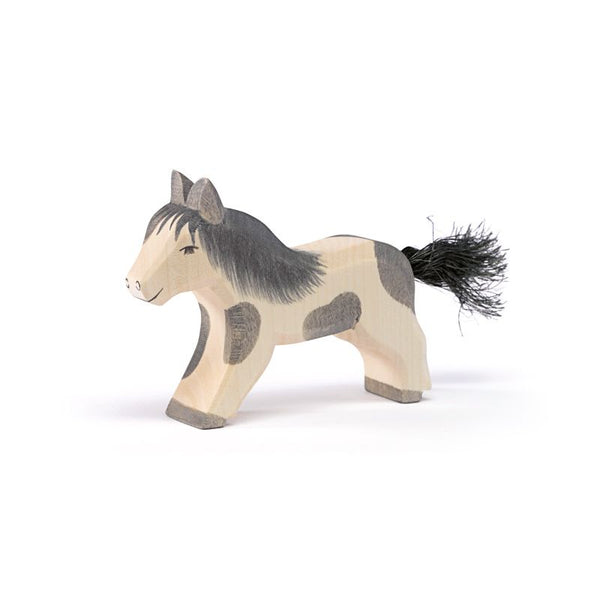 Ostheimer | Shetland Pony running