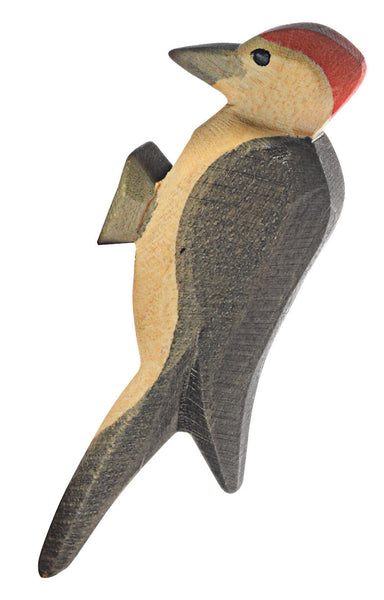 Ostheimer | Woodpecker