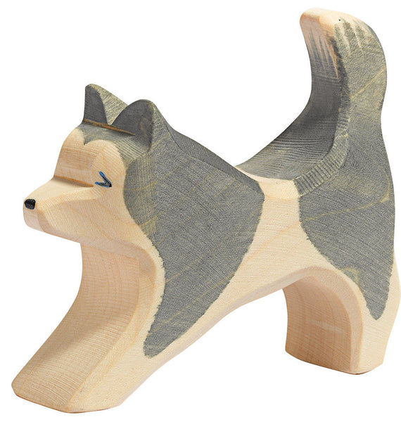 Ostheimer | Sled Dog running