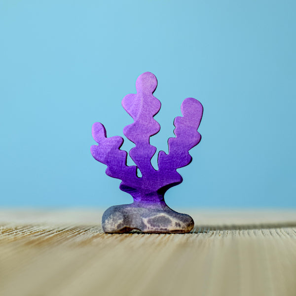 邦布玩具 |紫海藻