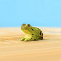 Bumbu Toys | Frog