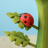 Bumbu Toys | Ladybug