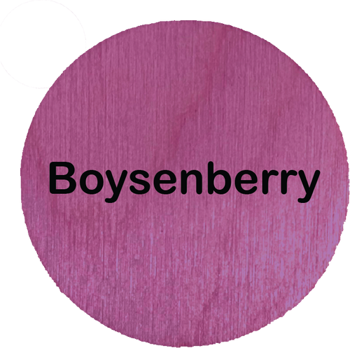 Tiny Land Boysenberry 染料染色單品