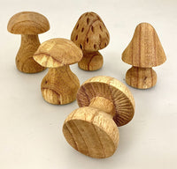 Papoose - Mushrooms Hand Carved 5pcs